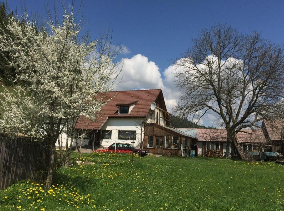 Karacsony Guest House Lunca de Sus Exterior foto